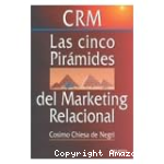 CRM las Cinco Piramides del Marketing Relacional vignette