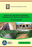 Manual del SNP para PIP menores preparación de perfiles simplificados vignette