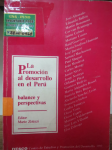 La Promoción al Desarrollo en el Perú vignette