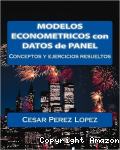 Modelos econométricos con datos de panel vignette