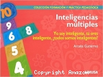 Inteligencias múltiples vignette