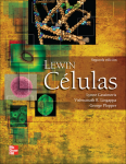 Lewin. Células vignette