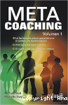 Meta Coaching vignette