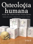 Osteología humana vignette