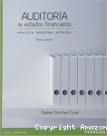 Auditoria de los estados financieros vignette