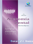 Anatomía dental vignette