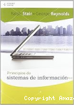 Principios de sistemas de información vignette