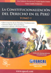 La constitucionalización del derecho en el Perú vignette