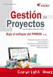 Gestión de proyectos con project, excel y visio vignette