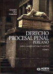 Derecho procesal peruano vignette