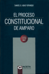 El proceso constitucional de amparo vignette