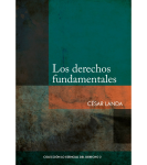 Los derechos fundamentales vignette