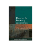Derecho de la niñez y adolescencia vignette