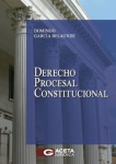 Derecho procesal constitucional vignette