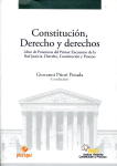 Constitución, derecho y derechos vignette