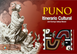 Puno vignette