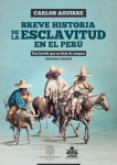 Breve historia de la esclavitud en el Perú. Una herida que no deja de sangrar vignette