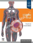 El sistema renal vignette