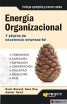 Energía Organizacional vignette