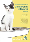 Enfermedades de las vías urinarias inferiores del gato vignette