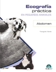 Ecografía práctica en pequeños animales. Abdomen vignette