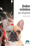Dolor crónico en el perro vignette