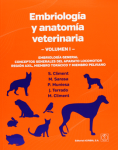 Embriología General, conceptos generales del aparato locomotor regional axil, miembro torácio y miembro pelviano vignette