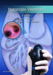 Endoscopia veterinaria vignette