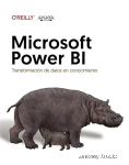 Microsoft Power BI vignette