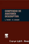 Compendio de anatomía descriptiva vignette