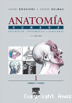 Anatomía humana y funcional cabeza y cuello vignette