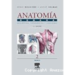 Descriptiva, topográfica y funcional tronco vignette