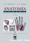 Anatomía humana vignette
