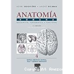 Anatomía humana vignette