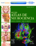 Netter. Atlas de neurociencia vignette