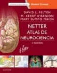Netter. Atlas de neurociencia vignette