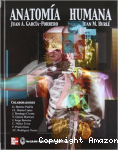 Anatomía humana vignette