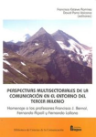 Perspectivas multisectoriales de la comunicación en el entorno del tercer milenio vignette