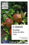 El granado vignette
