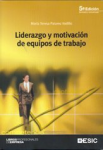 Liderazgo y motivación de equipos de trabajo vignette