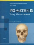 Prometheus. Cabeza y neuroanatomía vignette