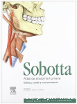 Cabeza, cuello y neuroanatomía vignette