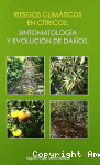 Riesgos climáticos en cítricos vignette
