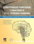 Conectividad funcional y anatómica en el cerebro humano vignette