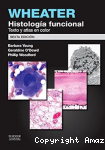 Wheater. Histología funcional vignette