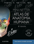 Anatomía humana vignette