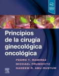 Principios de la cirugía ginecológica oncológica vignette