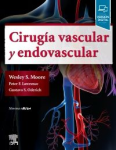 Cirugía vascular y endovascular vignette