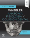Wheeler. Anatomía, fisiología y oclusión dental vignette