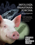 Patología parasitaria porcina vignette